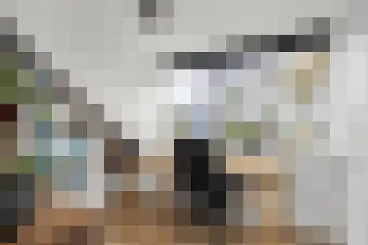 Appelhôf 10 Langweer thumbnail 18