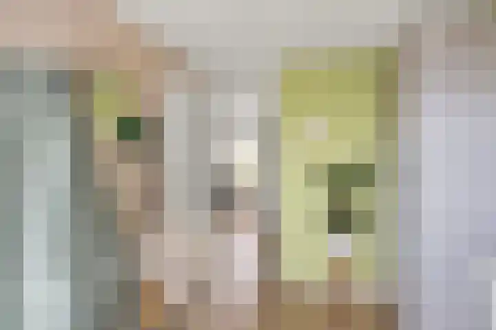 Appelhôf 10 Langweer thumbnail 23