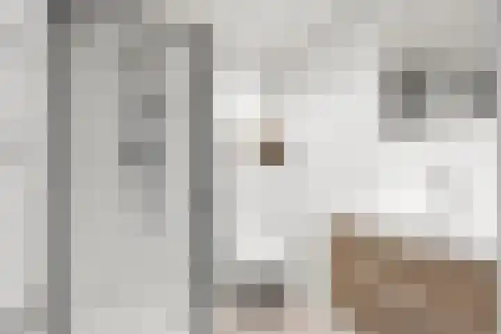 Appelhôf 10 Langweer thumbnail 24
