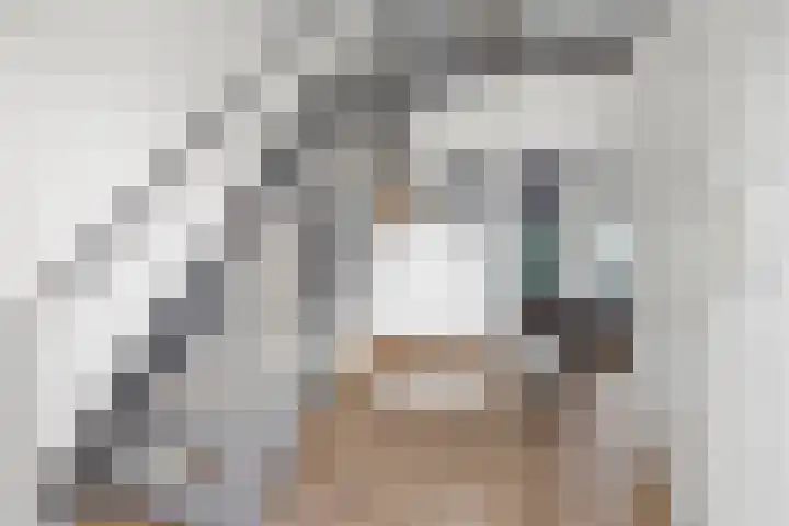 Appelhôf 10 Langweer thumbnail 5