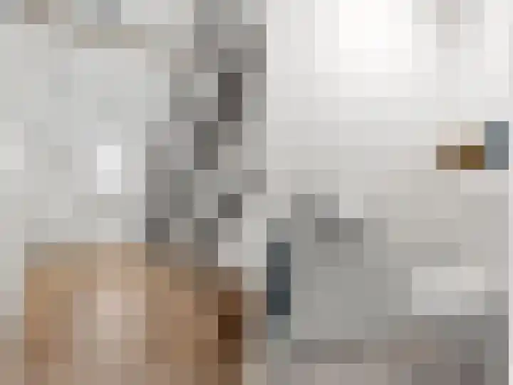 Appelhôf 10 Langweer thumbnail 6