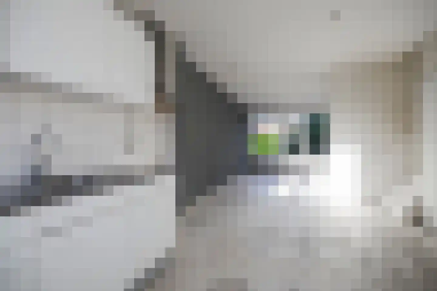 Appelhof 16 Oude Pekela thumbnail 14