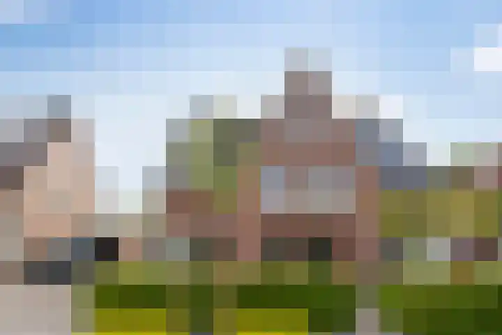 Appelhof 22 in Drachten