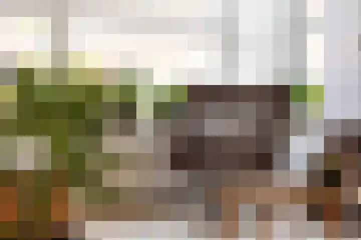 Appelhof 22 Drachten thumbnail 10