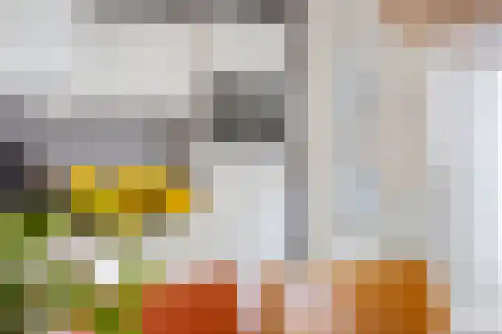 Appelhof 22 Drachten thumbnail 15