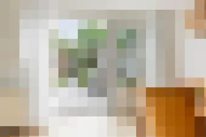 Appelhof 22 Drachten thumbnail 19