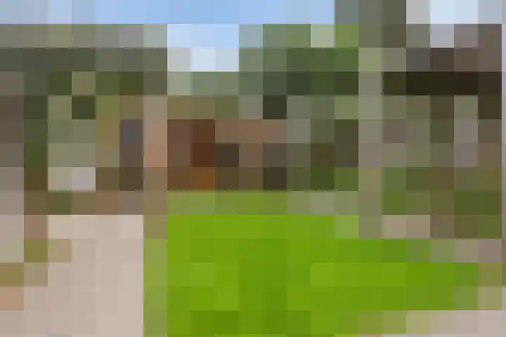 Appelhof 22 Drachten thumbnail 21