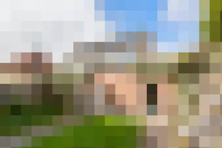 Appelhof 22 Drachten thumbnail 25