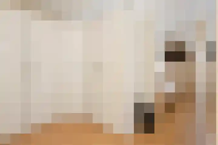 Appelhof 22 Drachten thumbnail 31