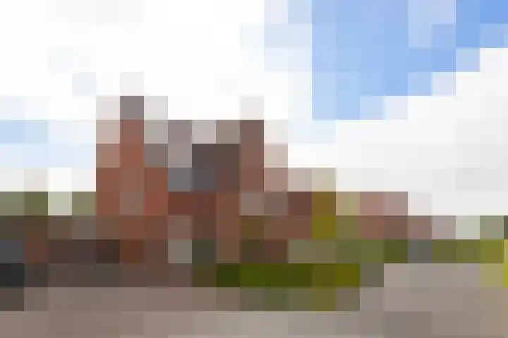 Appelhof 22 Drachten thumbnail 43
