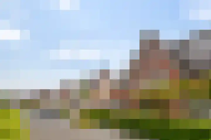 Appelhof 22 Drachten thumbnail 44