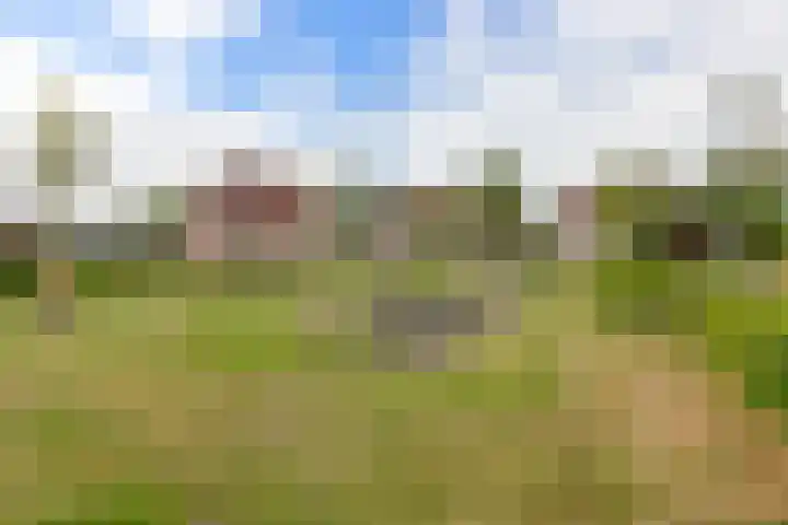 Appelhof 22 Drachten thumbnail 45