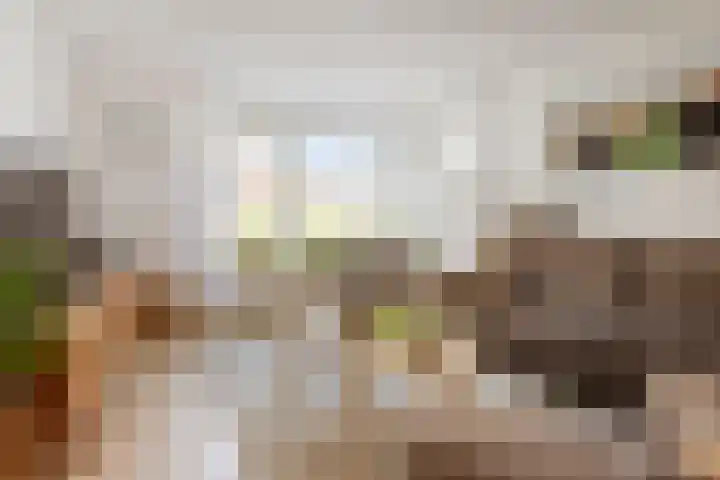 Appelhof 22 Drachten thumbnail 9