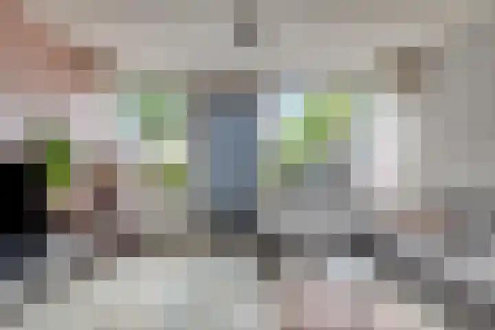 Appelhof 26 Oude Pekela thumbnail 11