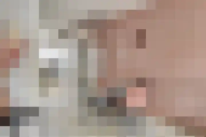 Appelhof 26 Oude Pekela thumbnail 12