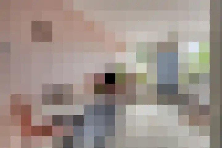 Appelhof 26 Oude Pekela thumbnail 13