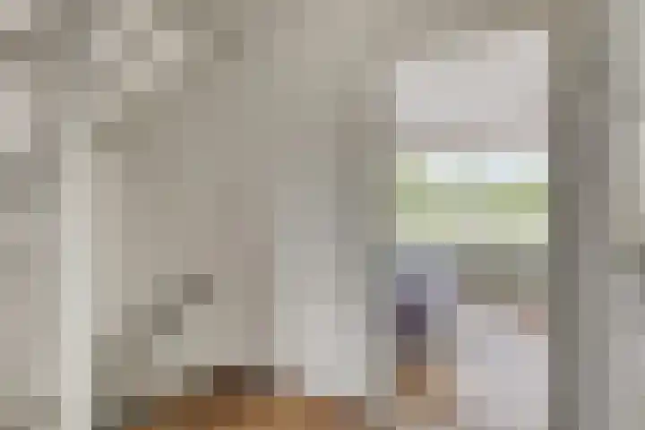 Appelhof 26 Oude Pekela thumbnail 18