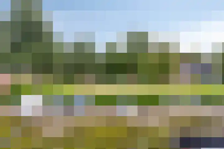 Appelhof 26 Oude Pekela thumbnail 19