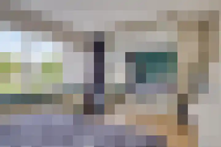 Appelhof 26 Oude Pekela thumbnail 21