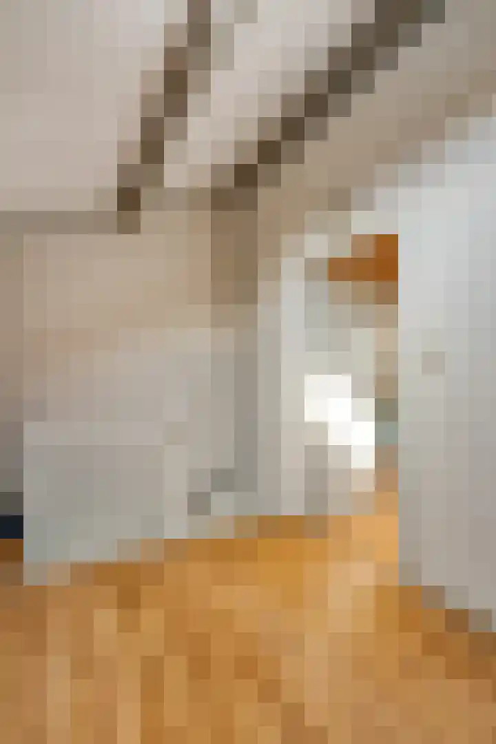 Appelhof 26 Oude Pekela thumbnail 28