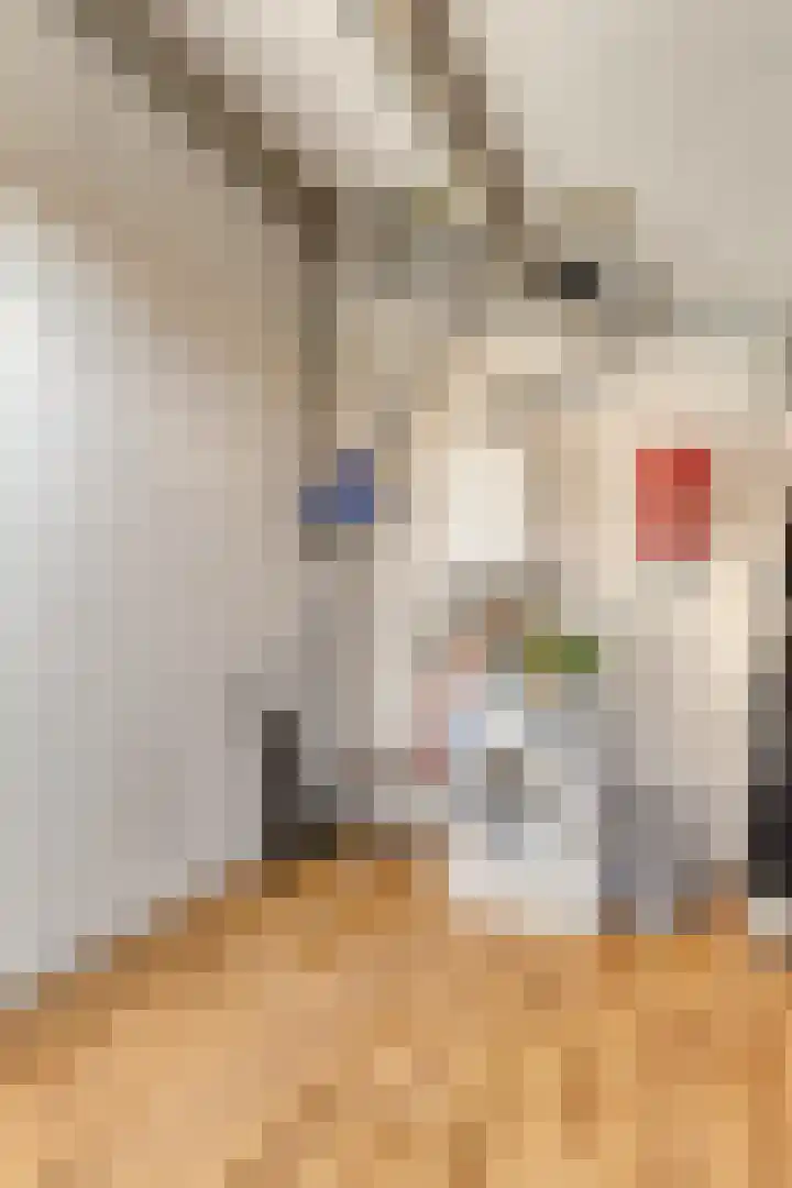 Appelhof 26 Oude Pekela thumbnail 30