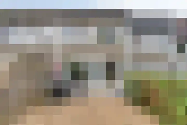Appelhof 26 Oude Pekela thumbnail 34