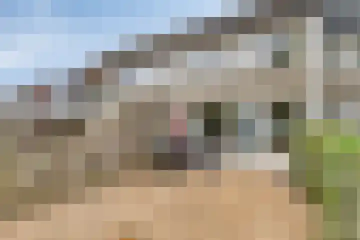 Appelhof 26 Oude Pekela thumbnail 35