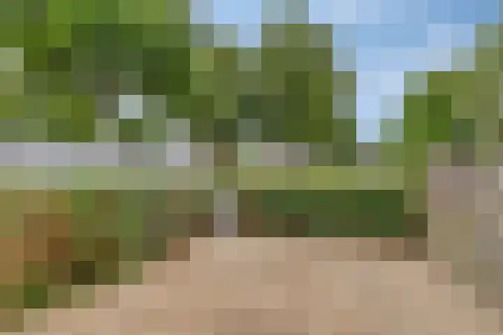 Appelhof 26 Oude Pekela thumbnail 36