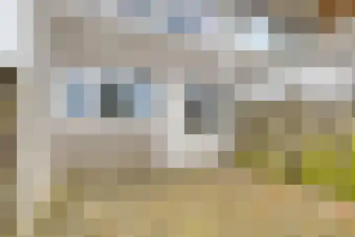 Appelhof 26 Oude Pekela thumbnail 4