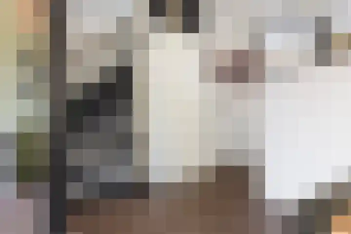 Appelhof 33 Oude Pekela thumbnail 14