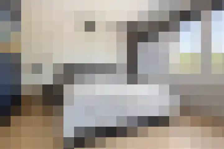 Appelhof 33 Oude Pekela thumbnail 16