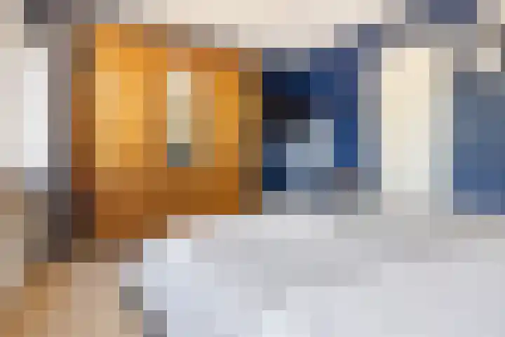 Appelhof 33 Oude Pekela thumbnail 17