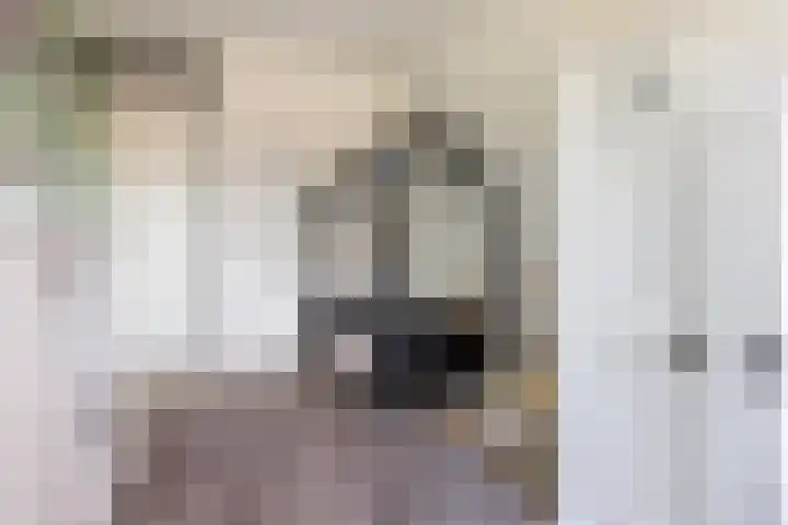 Appelhof 33 Oude Pekela thumbnail 19