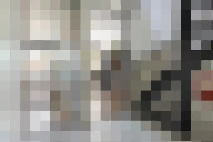 Appelhof 33 Oude Pekela thumbnail 24