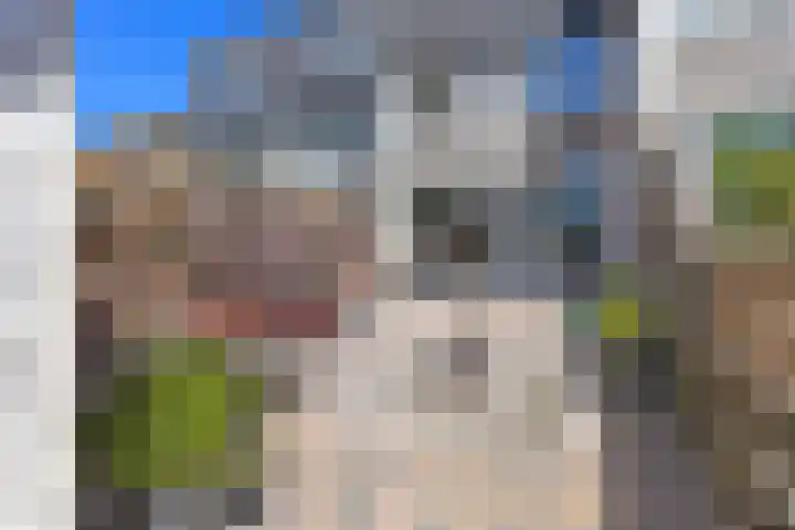 Appelhof 33 Oude Pekela thumbnail 30