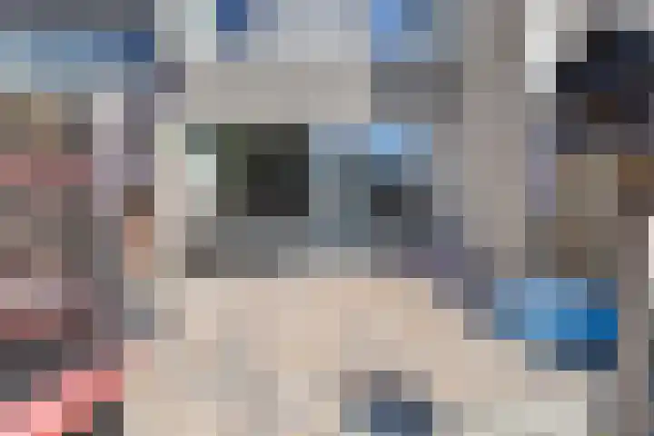Appelhof 33 Oude Pekela thumbnail 31