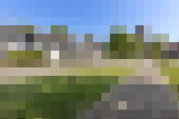 Appelhof 33 Oude Pekela thumbnail 34