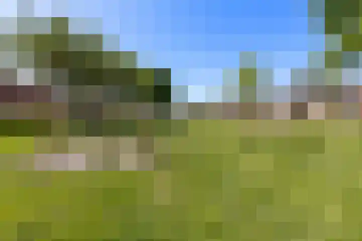Appelhof 33 Oude Pekela thumbnail 37