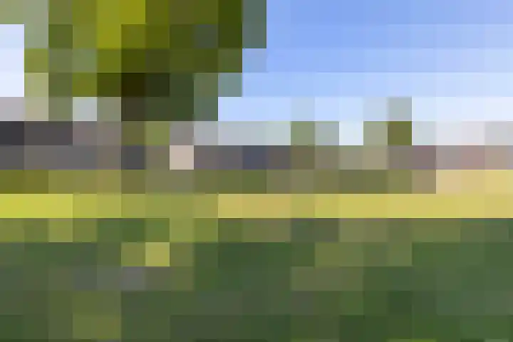 Appelhof 33 Oude Pekela thumbnail 38