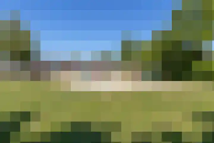 Appelhof 33 Oude Pekela thumbnail 39
