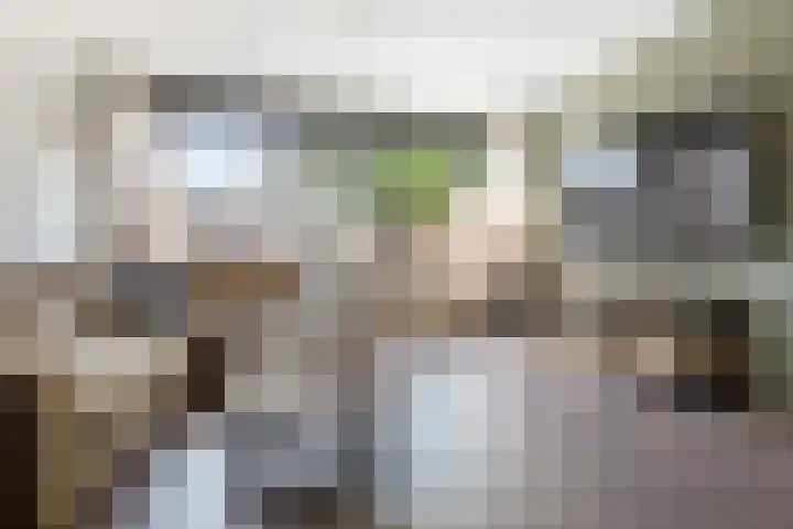 Appelhof 33 Oude Pekela thumbnail 7