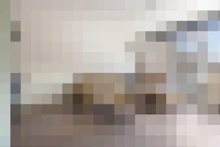 Appelhof 33 Oude Pekela thumbnail 8