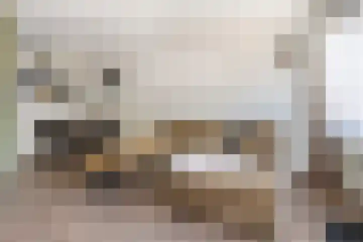 Appelhof 33 Oude Pekela thumbnail 9