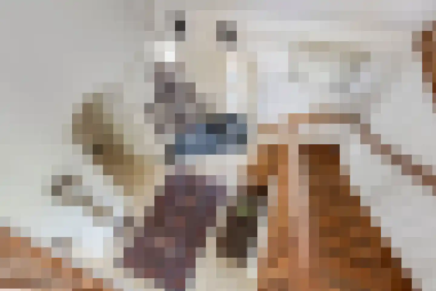 Appelhof 4 Kommerzijl thumbnail 10