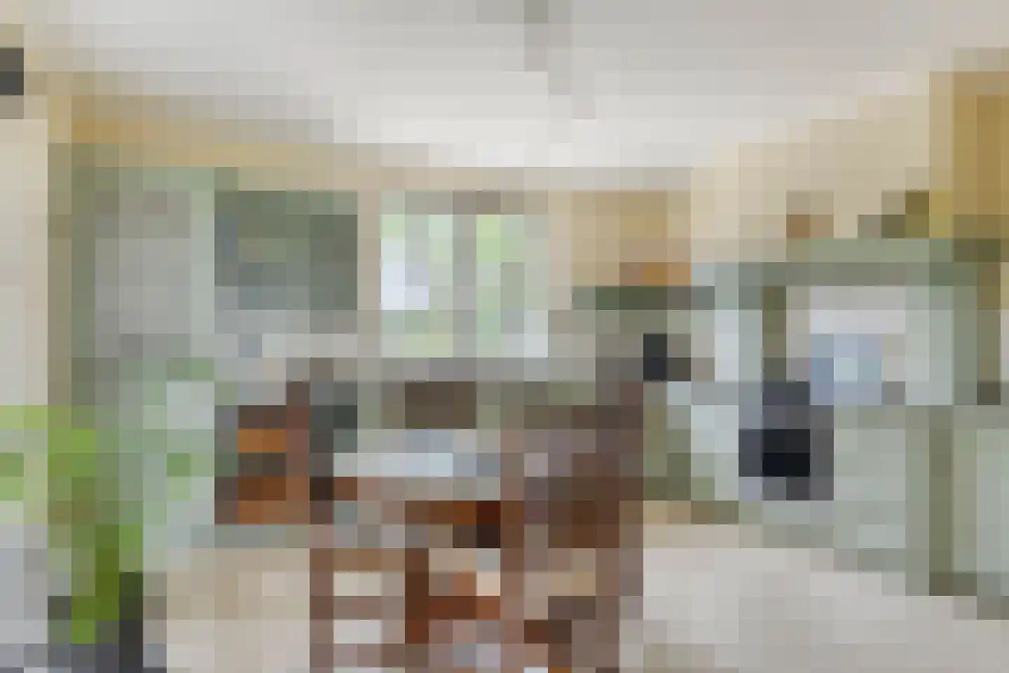 Appelhof 4 Kommerzijl thumbnail 16