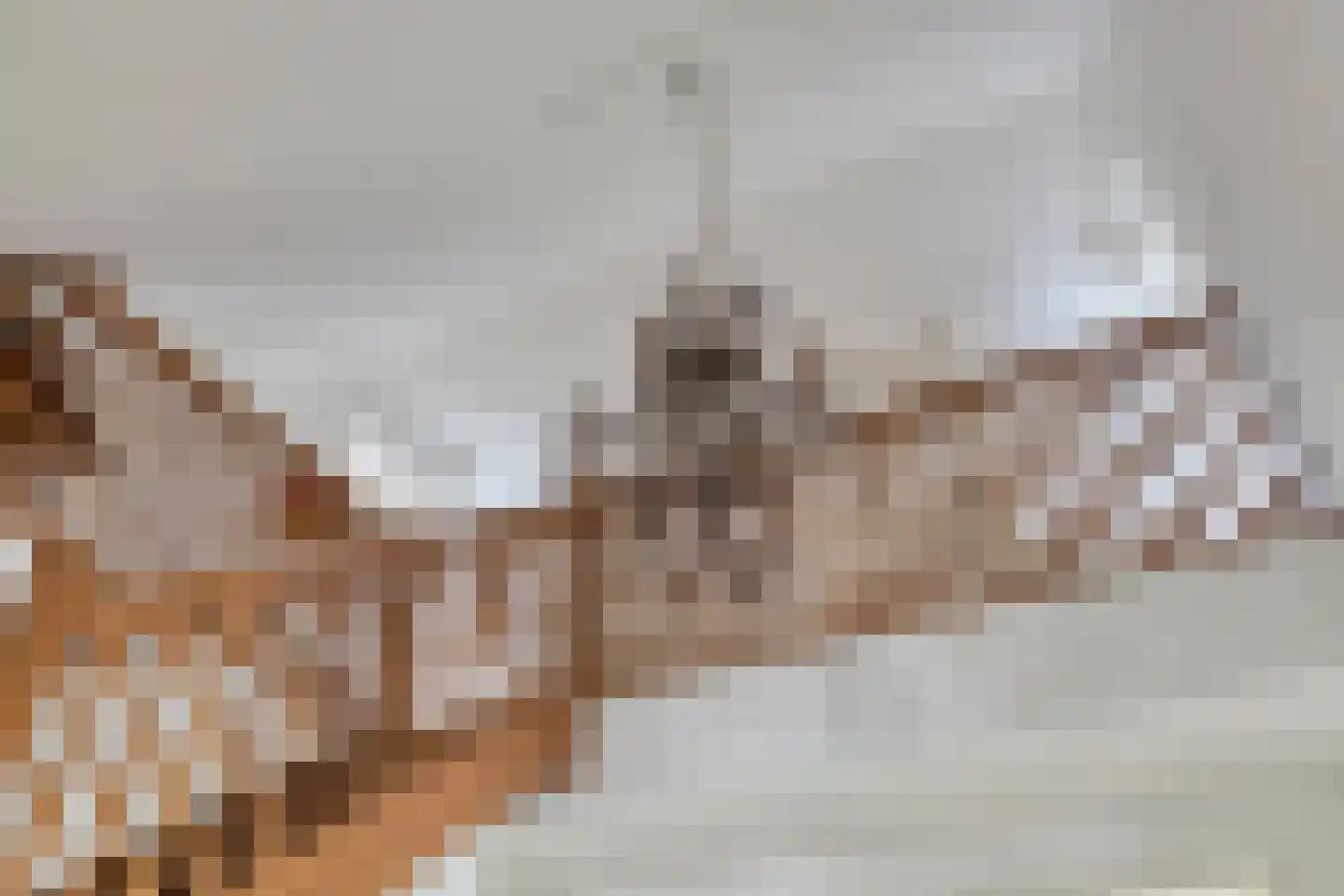 Appelhof 4 Kommerzijl thumbnail 30