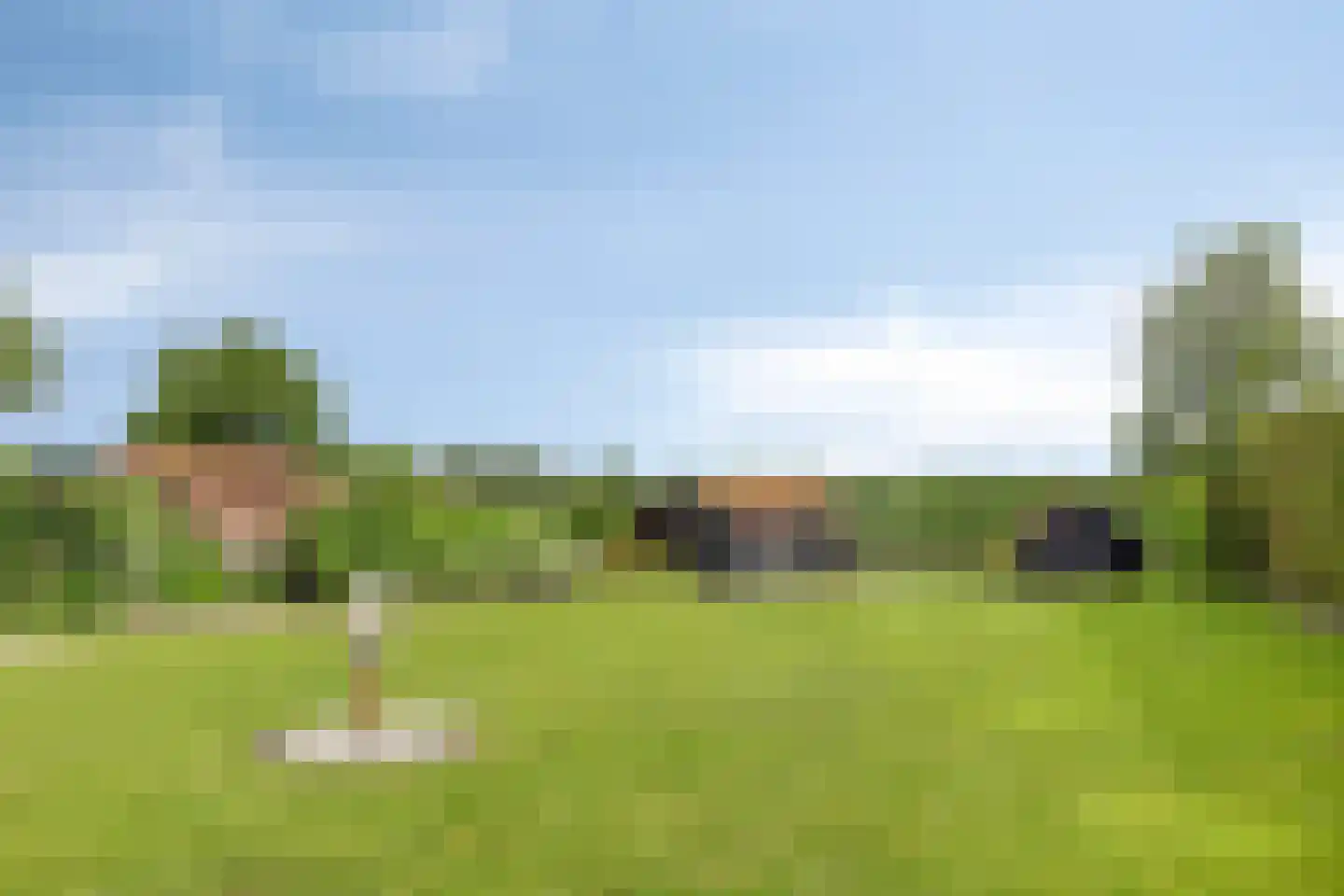 Appelhof 4 Kommerzijl thumbnail 43