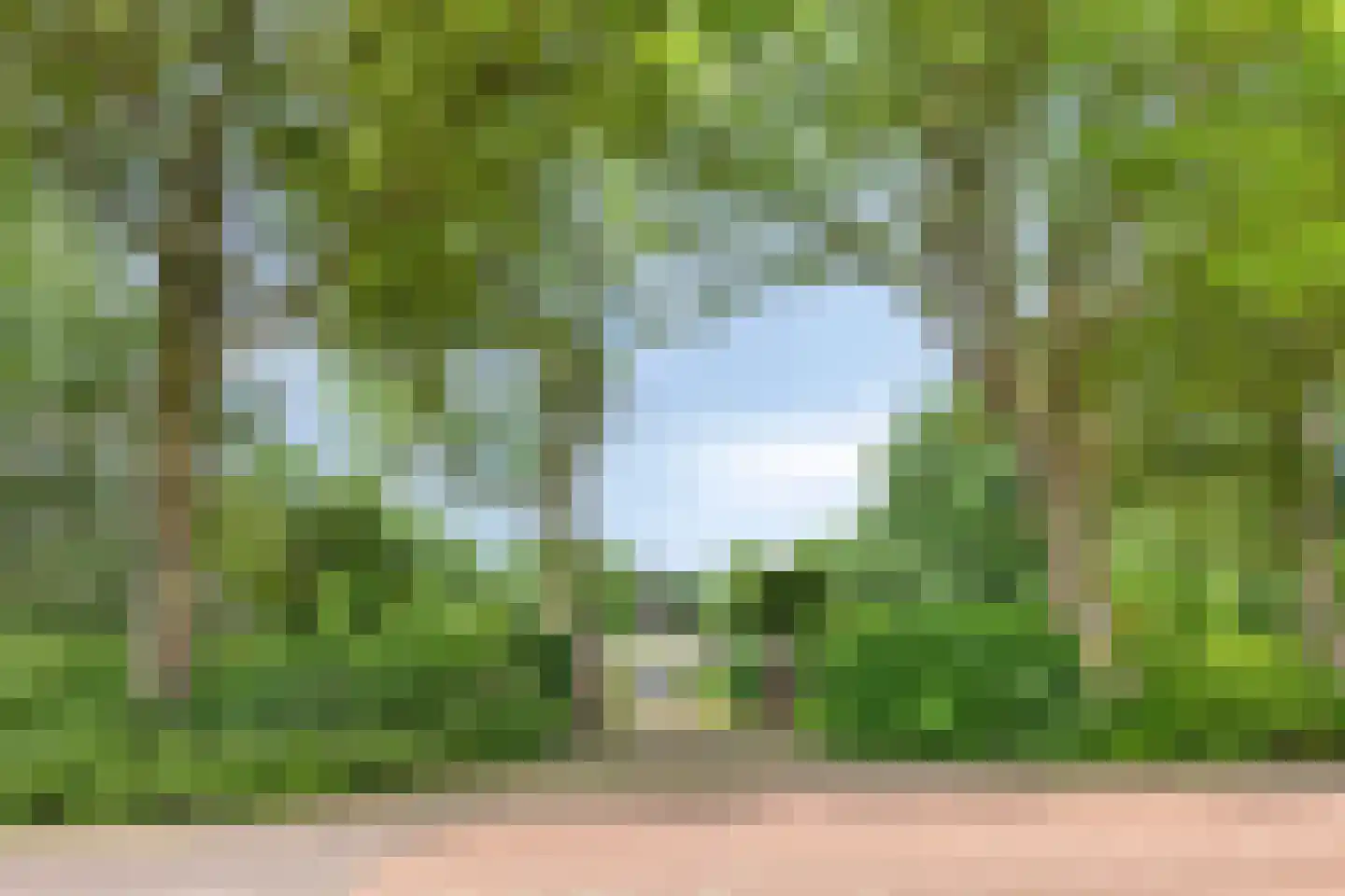 Appelhof 4 Kommerzijl thumbnail 55