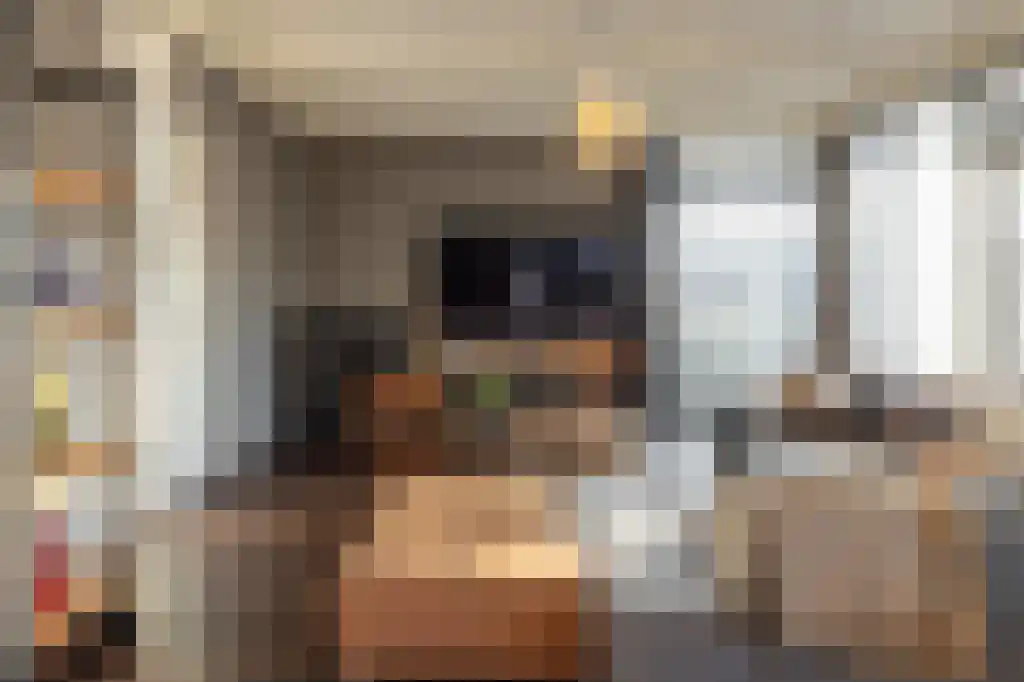 Appelhôf 5 Oudehaske thumbnail 12