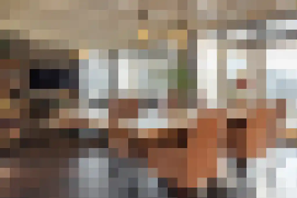 Appelhôf 5 Oudehaske thumbnail 13
